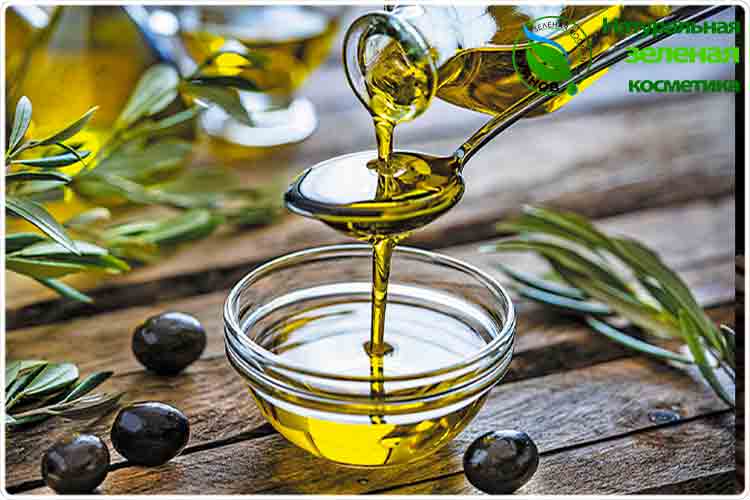 как выглядит оливковое масло