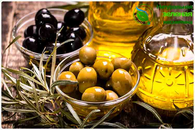 оливки для масла